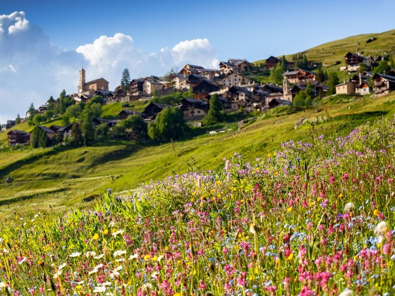 Le début de l'été à Saint-Véran est vraiment magique !